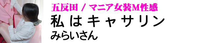 ���̓L���T����